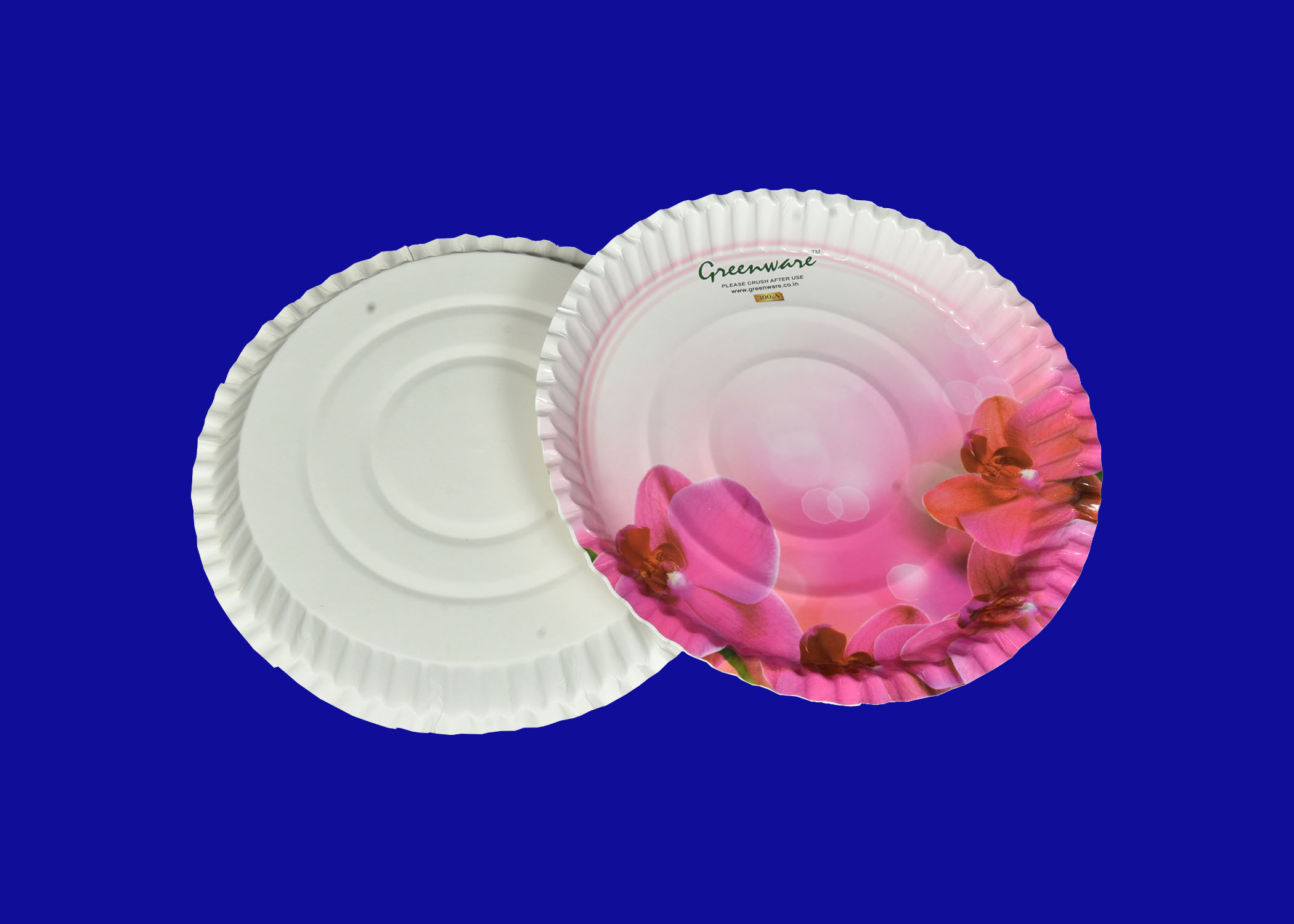 Paper plate manufacturer